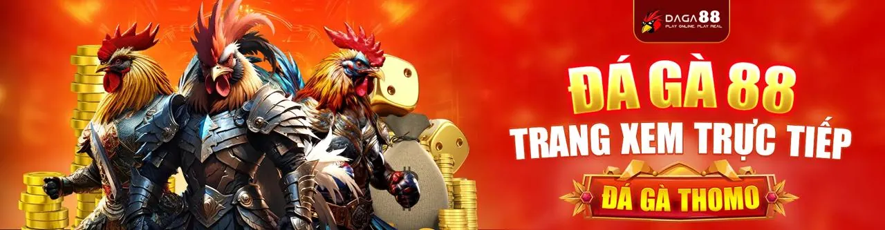 Đá gà trực tuyến kịch tính tại VN100 trang chủ chính thức