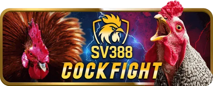 Hình ảnh chọn máy slot có RTP cao